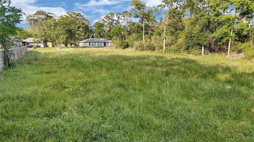 227 Forest Vista Drive, Humble, Texas image 12