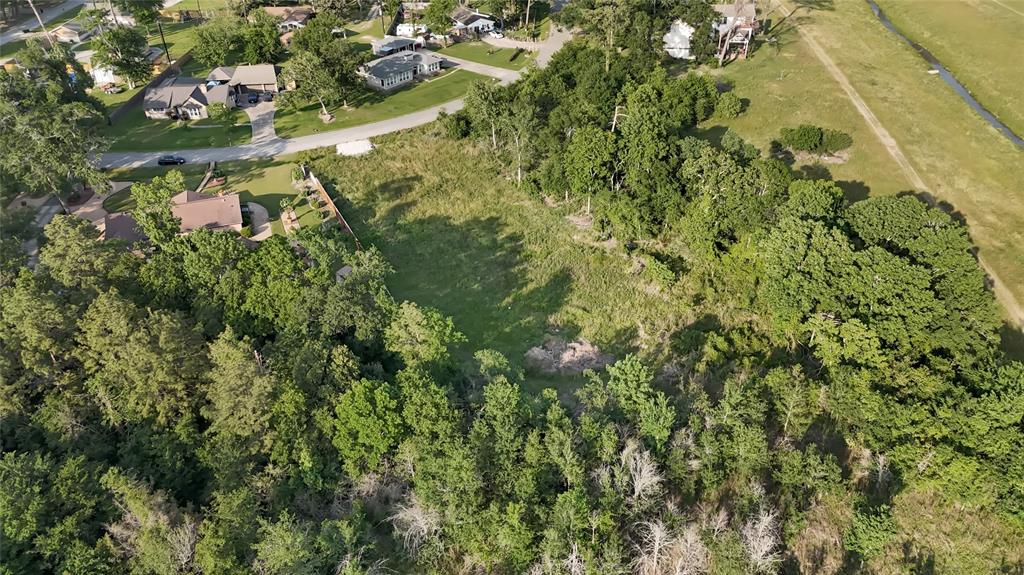 227 Forest Vista Drive, Humble, Texas image 6