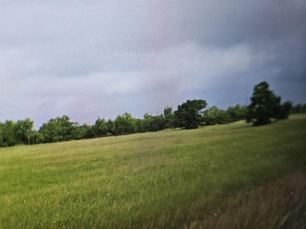 Cherokee Trail, Angleton, Texas image 3
