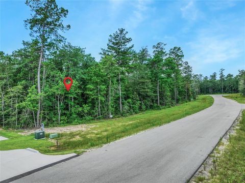 Photo of 103 Eagle Run Road, Willis, TX 77378 (MLS # 28752907)