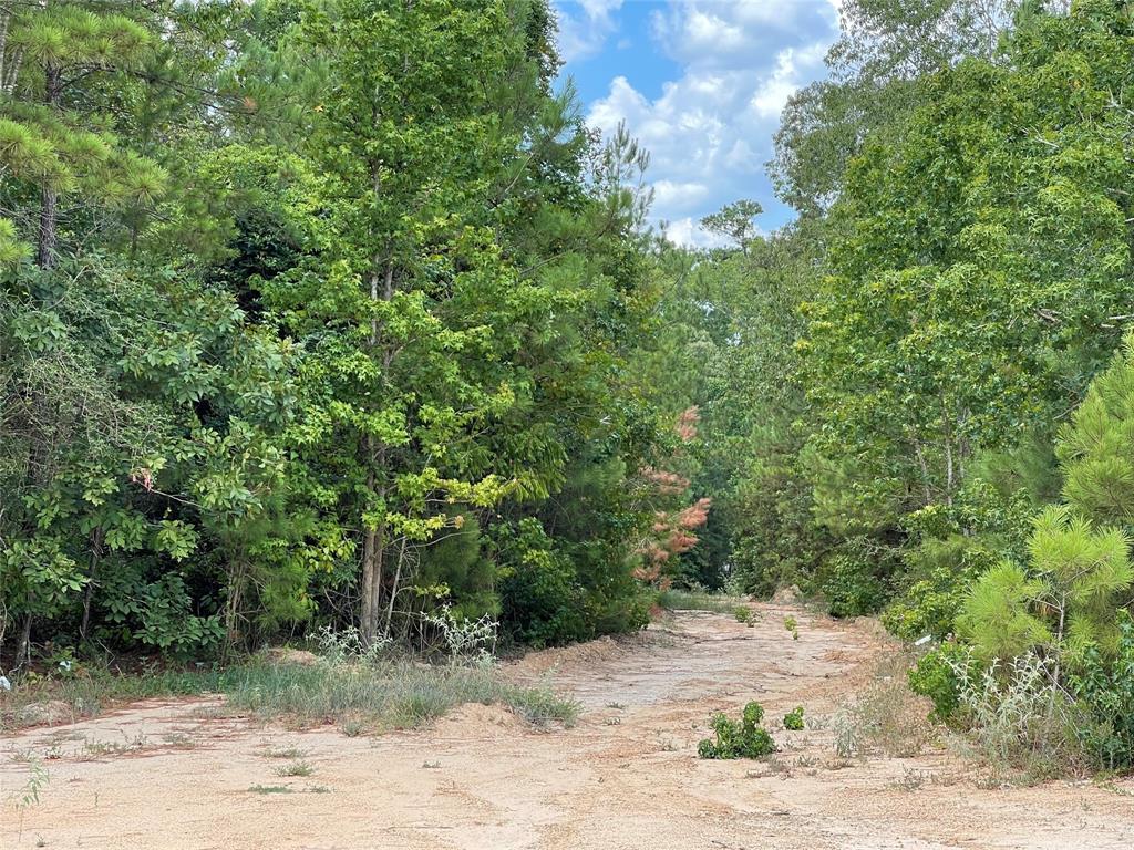 16611 Retreat Road, Willis, Texas image 9