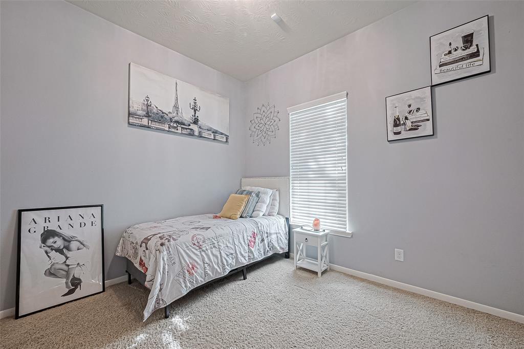 14202 Pearl Shadow Lane, Houston, Texas image 24