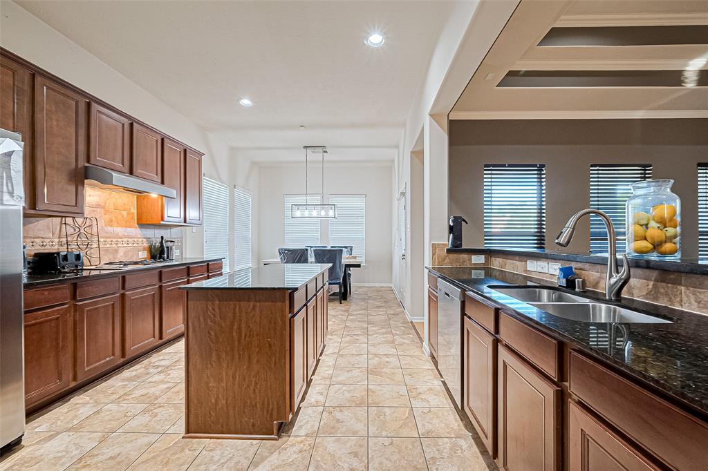 14202 Pearl Shadow Lane, Houston, Texas image 19