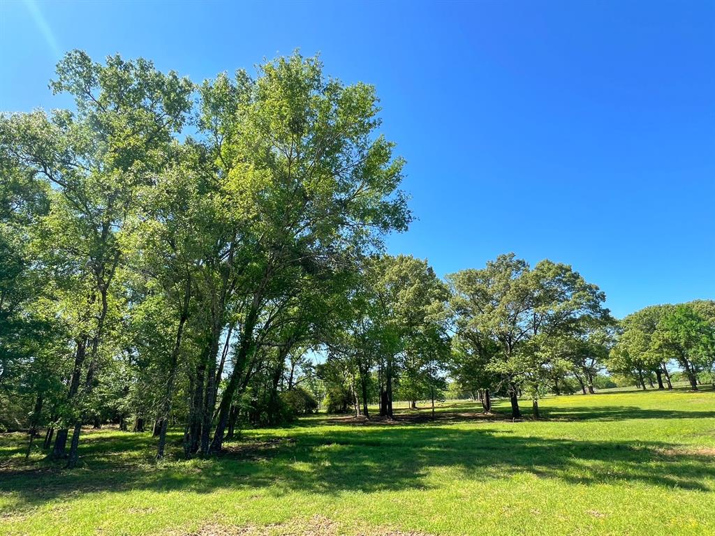 70 Ac Cr 232, Centerville, Texas image 18