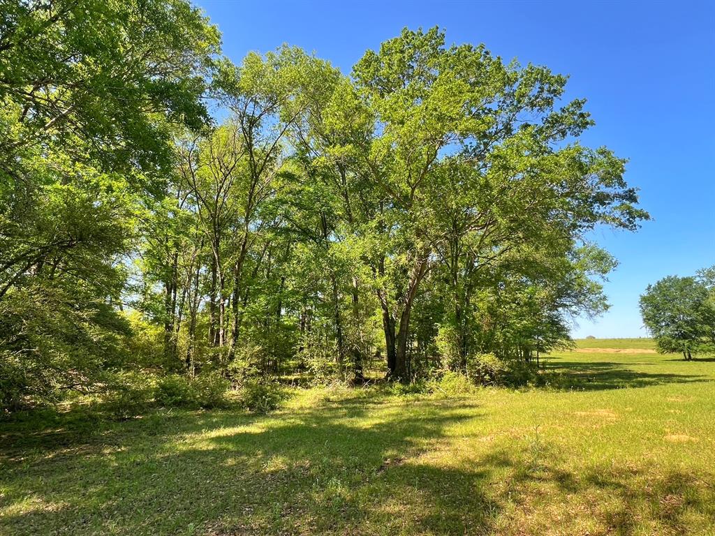 70 Ac Cr 232, Centerville, Texas image 31