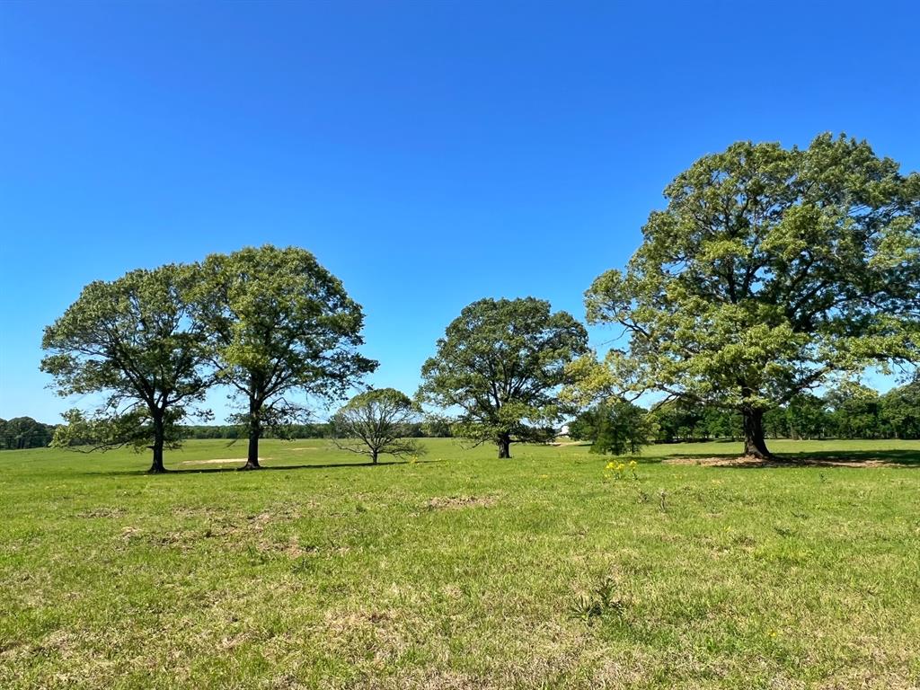 70 Ac Cr 232, Centerville, Texas image 20