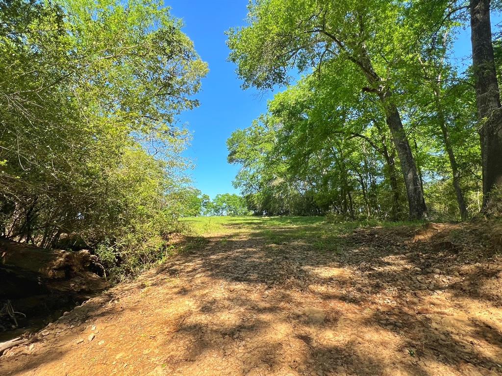 70 Ac Cr 232, Centerville, Texas image 19