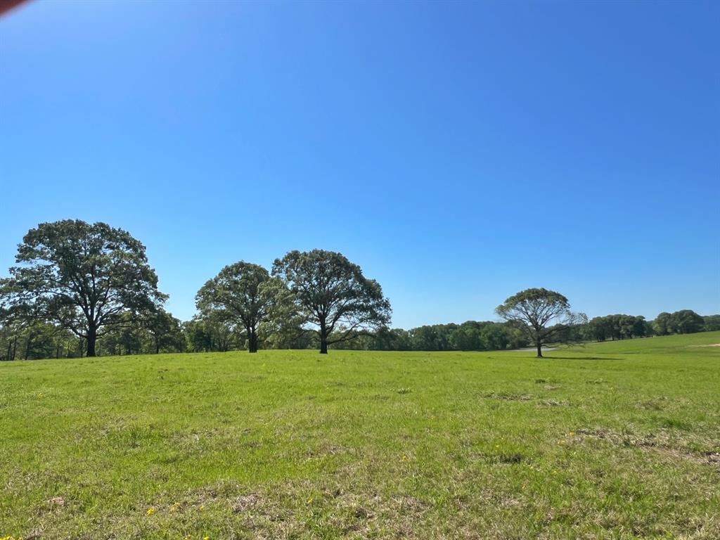 70 Ac Cr 232, Centerville, Texas image 10