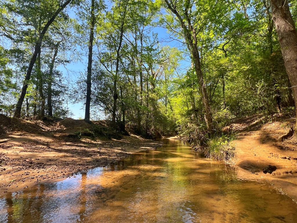 70 Ac Cr 232, Centerville, Texas image 6