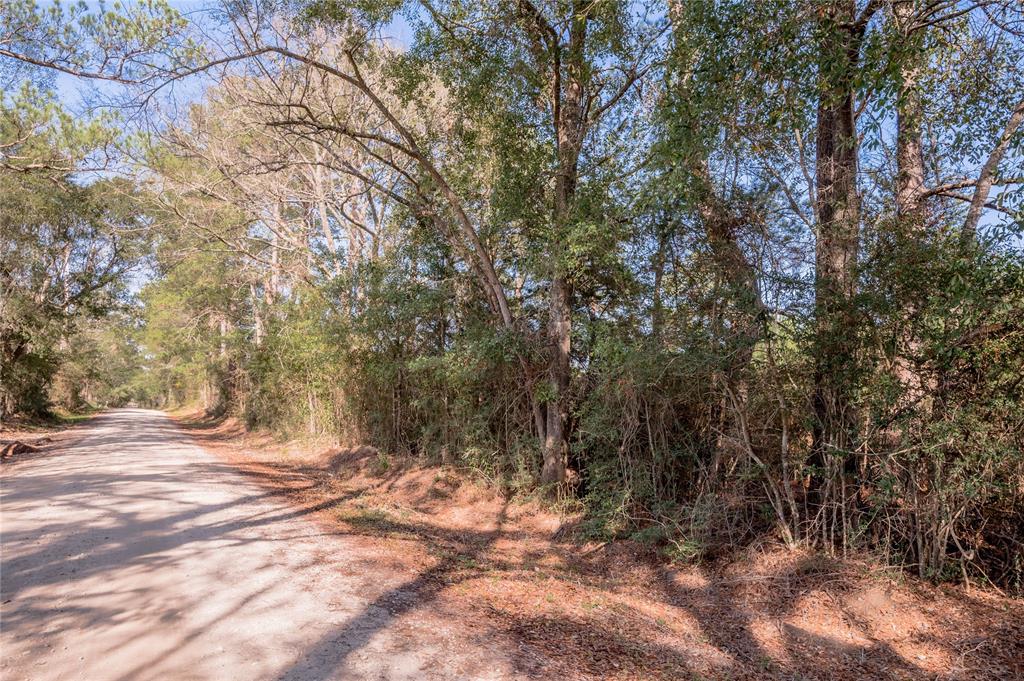 262 S Scrubcreek/bill Jones Road, Groveton, Texas image 11