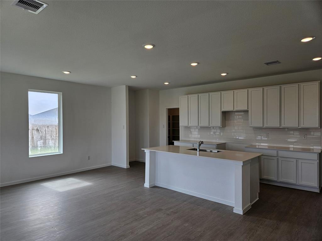 16539 Texas Palmetto Way, Hockley, Texas image 3