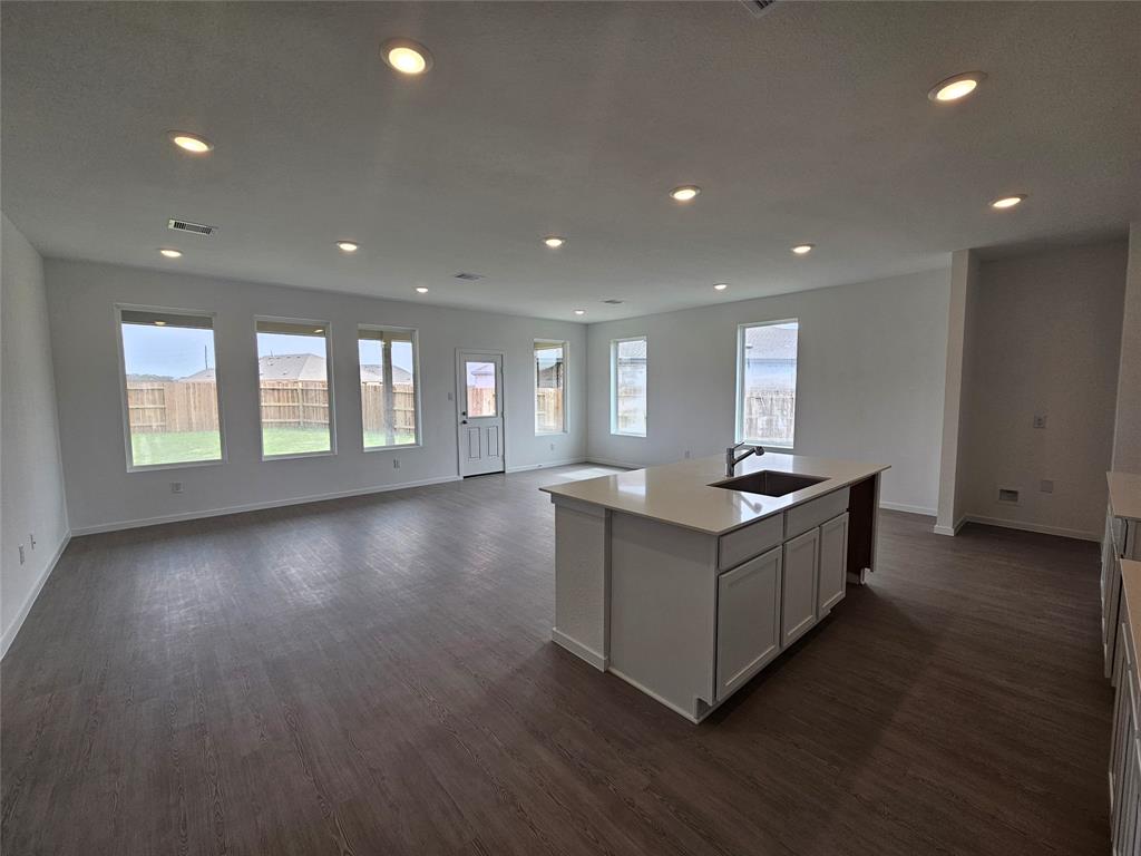 16539 Texas Palmetto Way, Hockley, Texas image 2