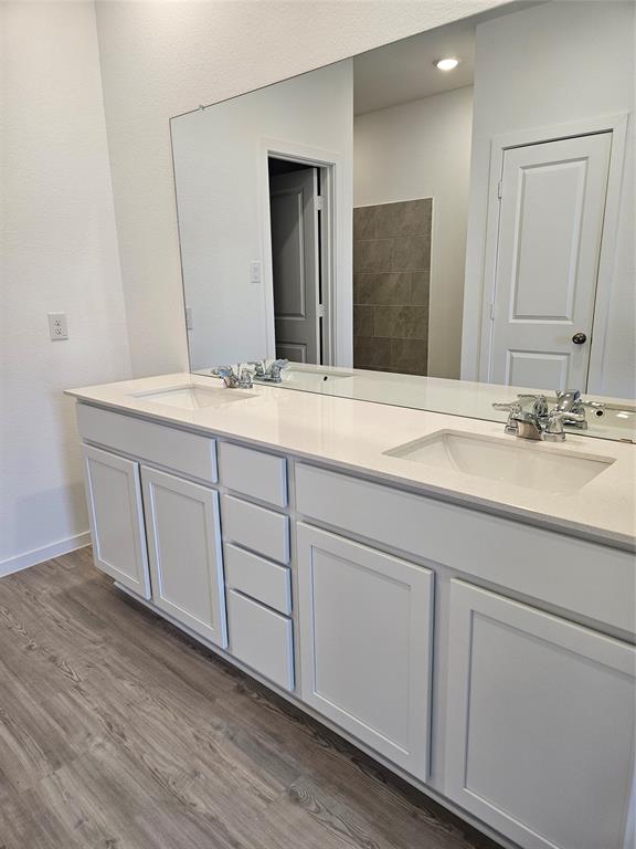 16539 Texas Palmetto Way, Hockley, Texas image 6