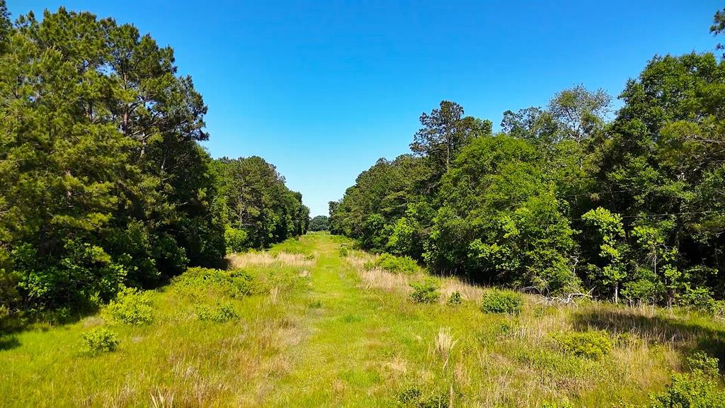 1591 County Road 2293, Cleveland, Texas image 7
