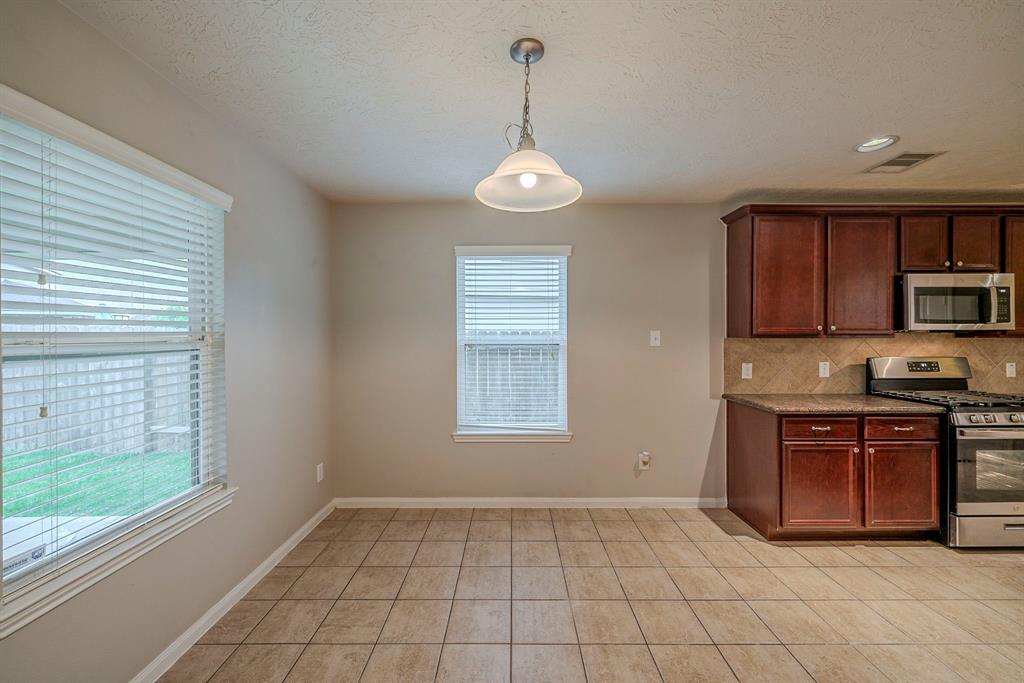 10910 Brittan Leaf Lane