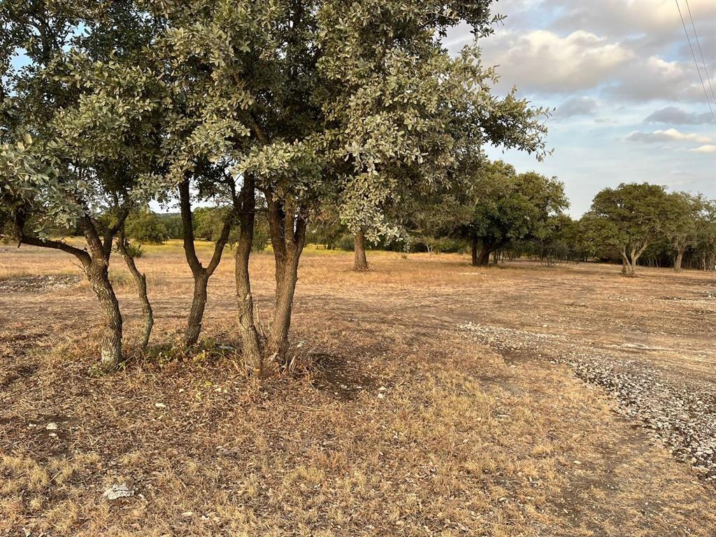 TBD Lot 3 County Road 340, Burnet, Texas image 5