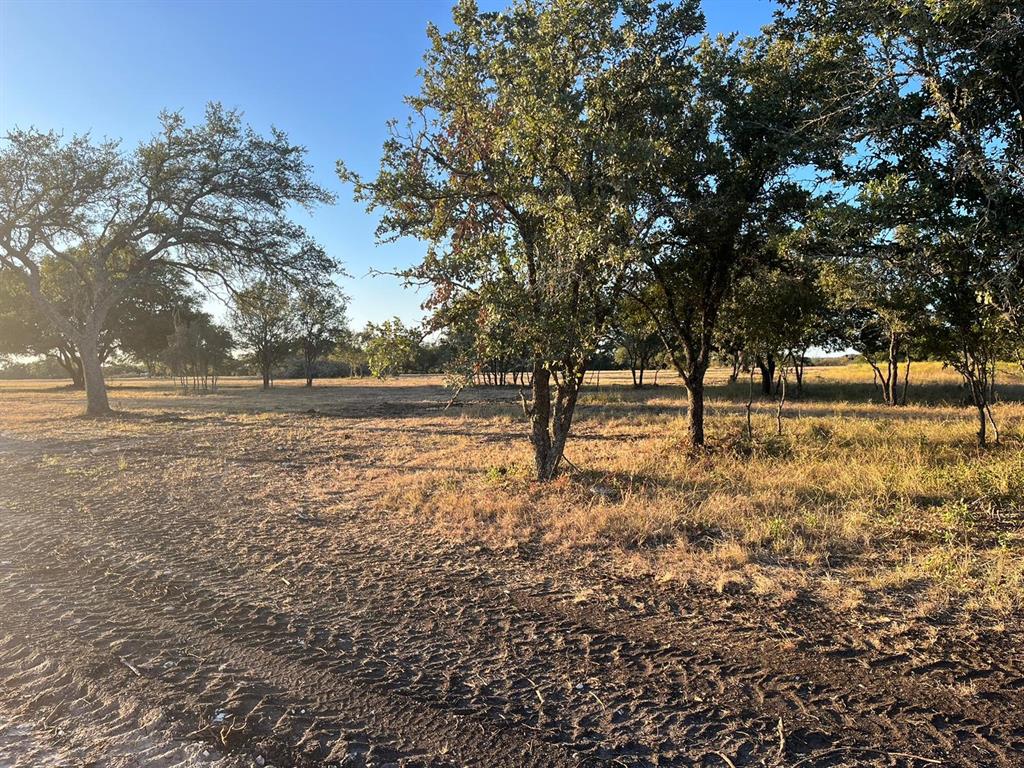 TBD Lot 3 County Road 340, Burnet, Texas image 4