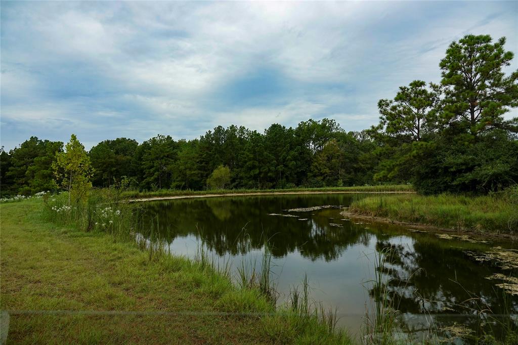 000 Tract #5B Whitehall Ranch Road