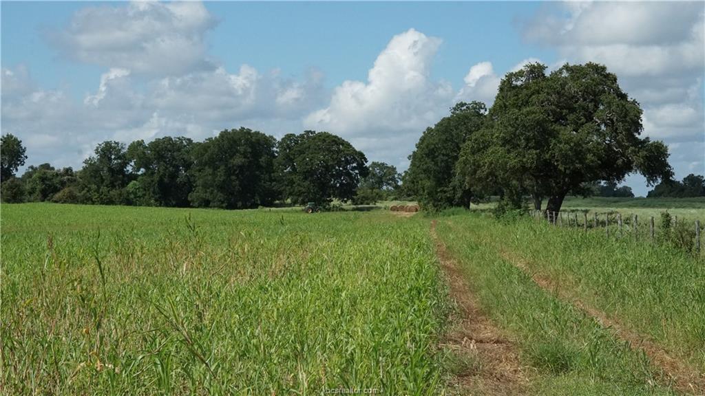 TBD Cr 268, Snook, Texas image 2