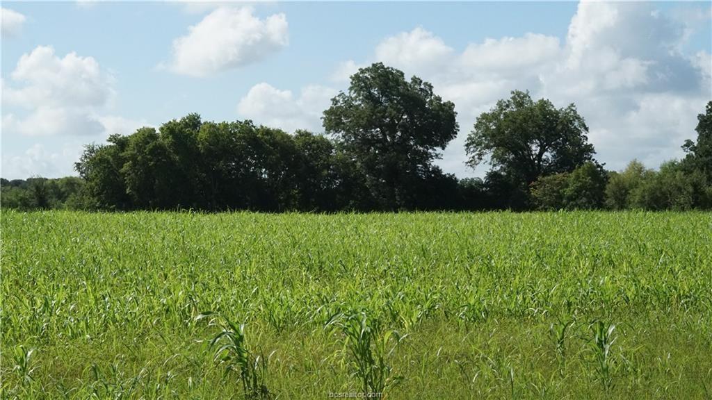 TBD Cr 268, Snook, Texas image 6