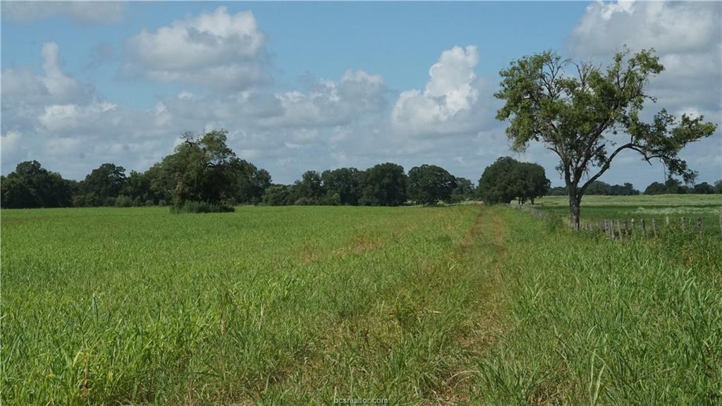 TBD Cr 268, Snook, Texas image 1