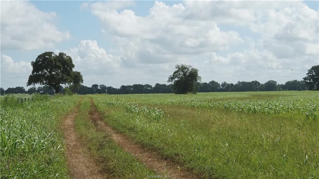 TBD Cr 268, Snook, Texas image 3