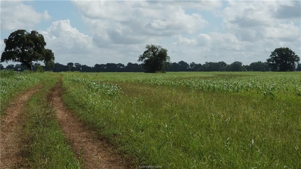 TBD Cr 268, Snook, Texas image 7