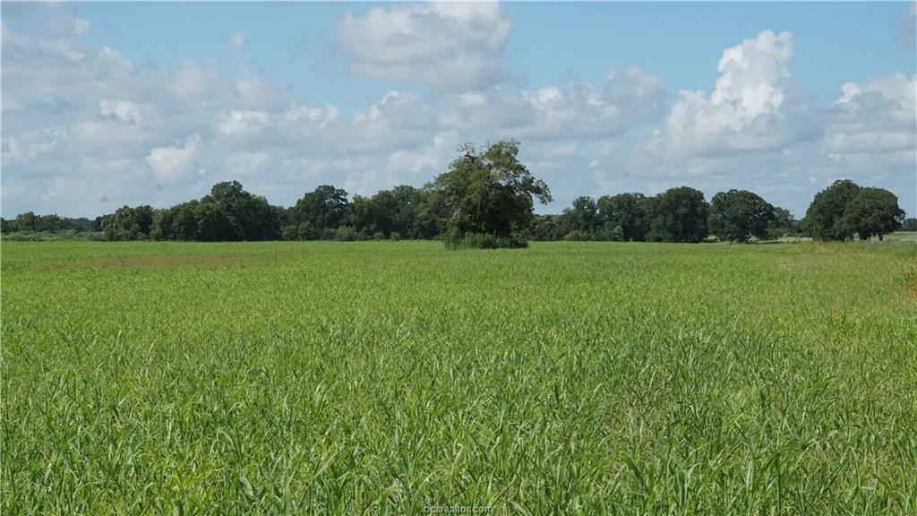 TBD Cr 268, Snook, Texas image 8