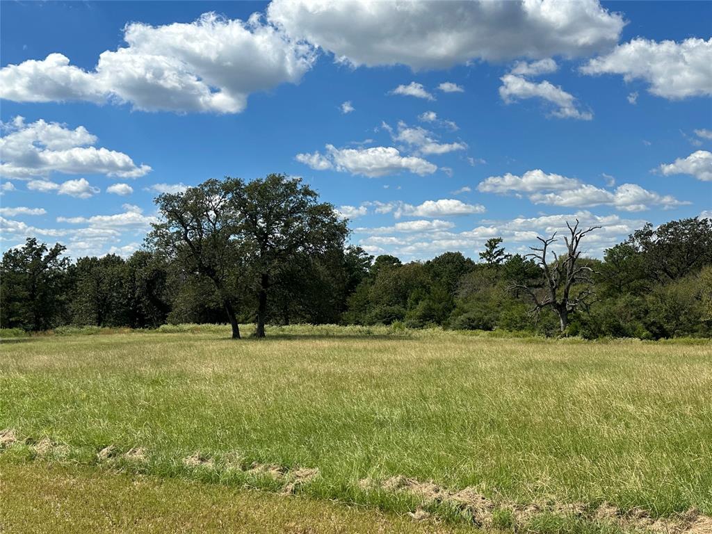 8468 E County Road 212, Buffalo, Texas image 41