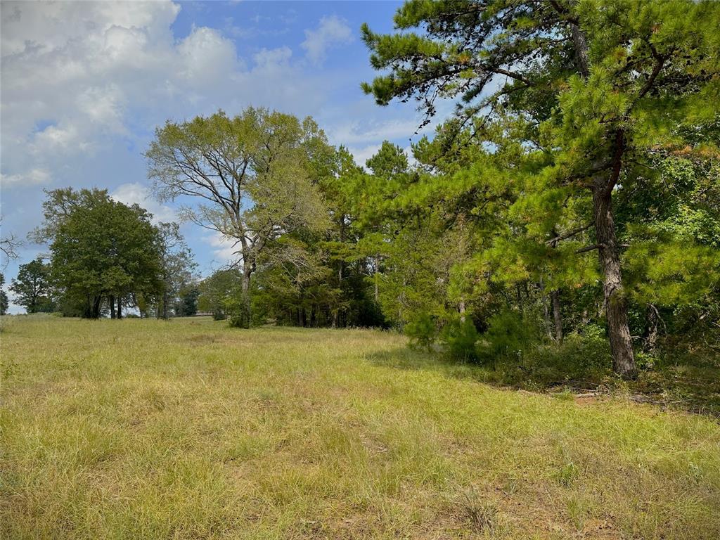 8468 E County Road 212, Buffalo, Texas image 39