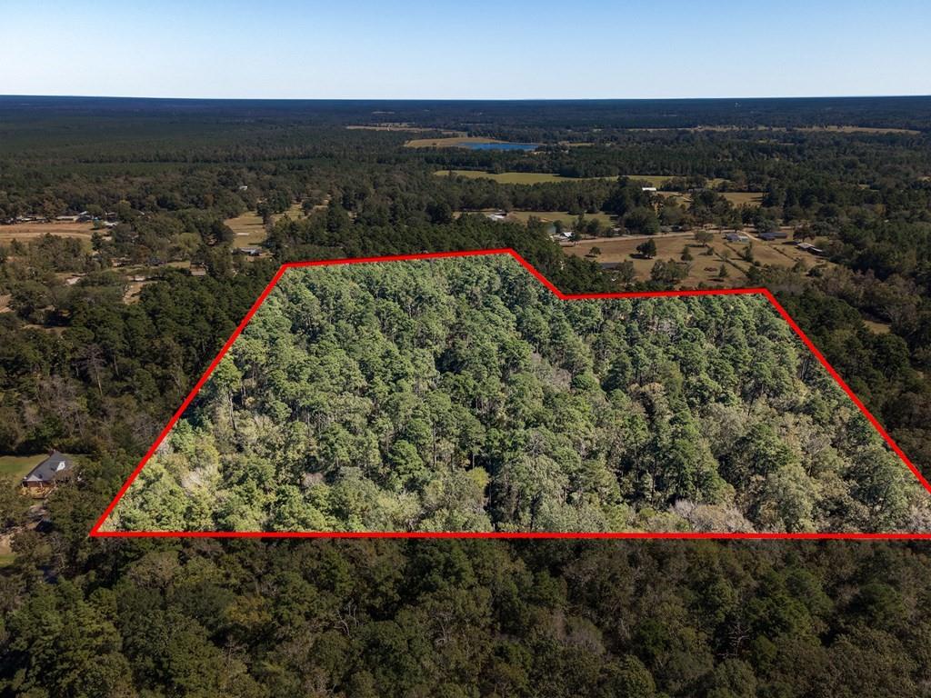 R16858 Fm 2021, Lufkin, Texas image 5
