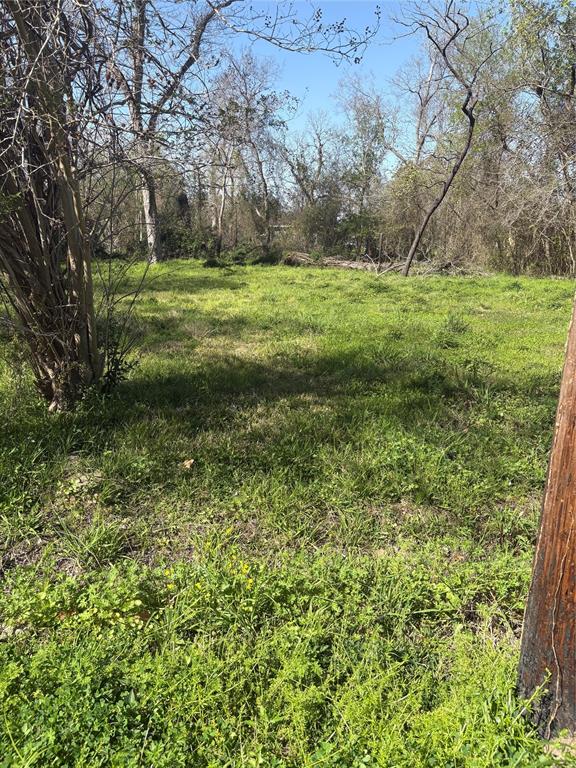 1043 Lincoln Street, Beaumont, Texas image 2