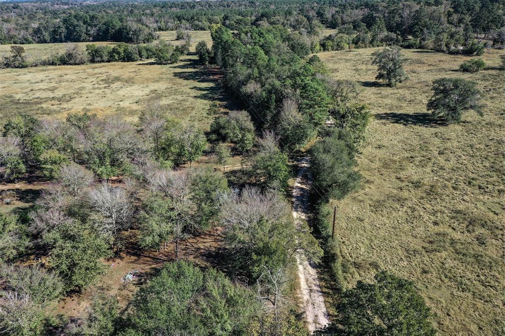 00 Booker Road, Huntsville, Texas image 6