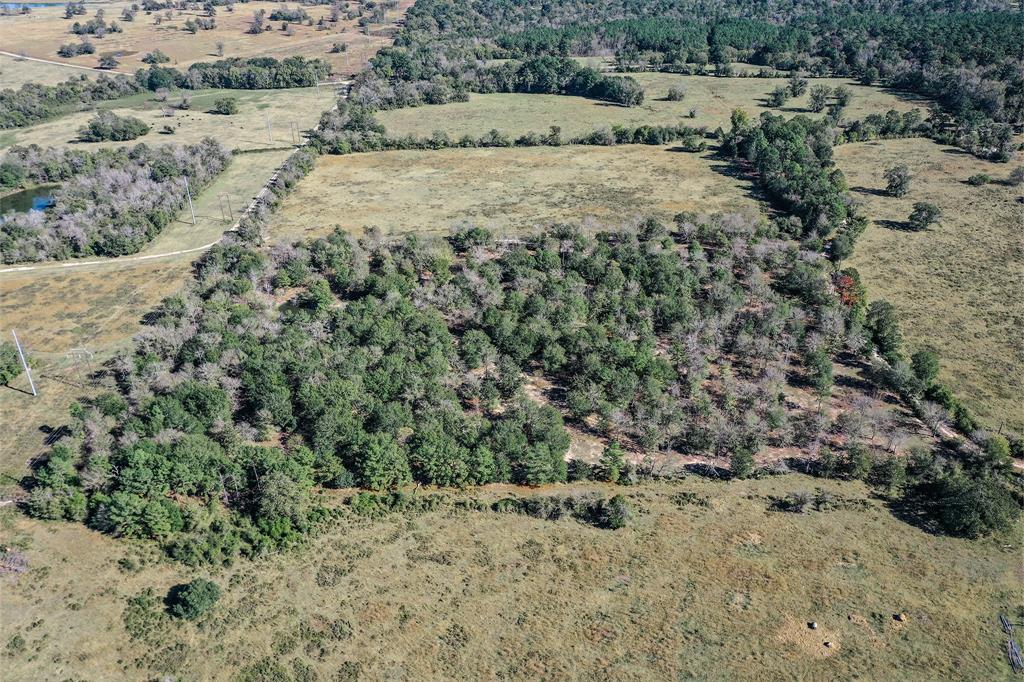 00 Booker Road, Huntsville, Texas image 8