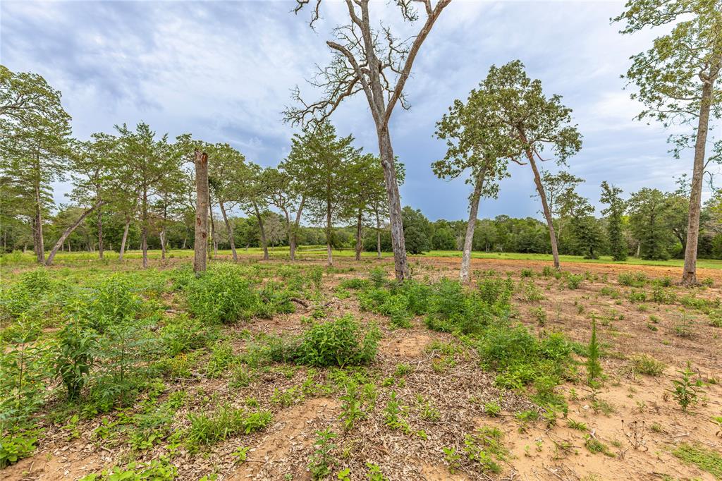 1126 Abel Road