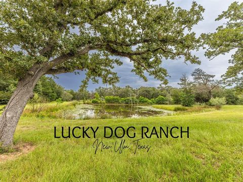 Photo of 1126 Abel Road, New Ulm, TX 78950 (MLS # 55301199) Photo of 1126 Abel Road, New Ulm, TX 78950 (MLS # 55301199)