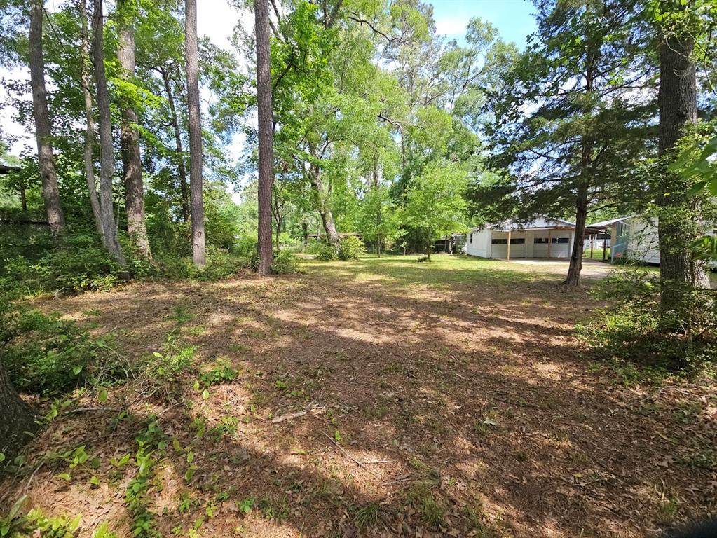 27619 Royal Coach Ln, New Caney, Texas image 28