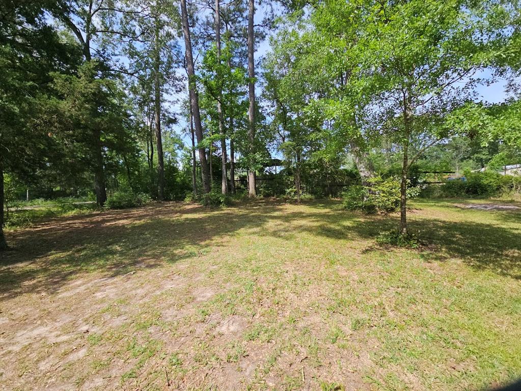 27619 Royal Coach Ln, New Caney, Texas image 29