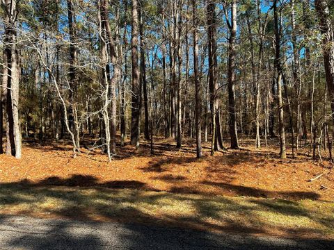 Photo of 55 Green Tree Drive, Coldspring, TX 77331 (MLS # 50179119)