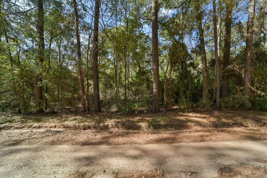 Bob Wahle Lane, Coldspring, Texas image 4