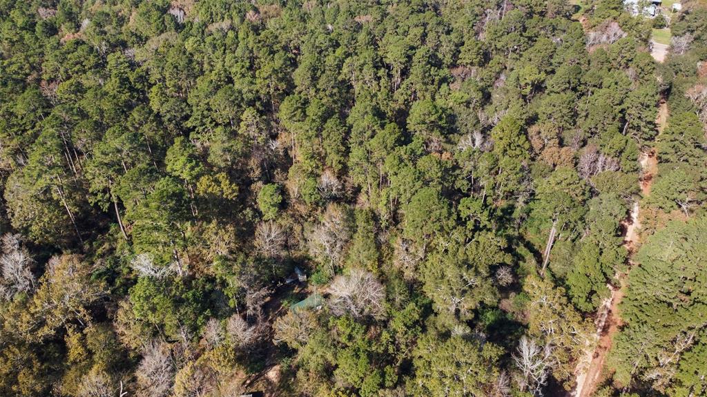 Bob Wahle Lane, Coldspring, Texas image 8