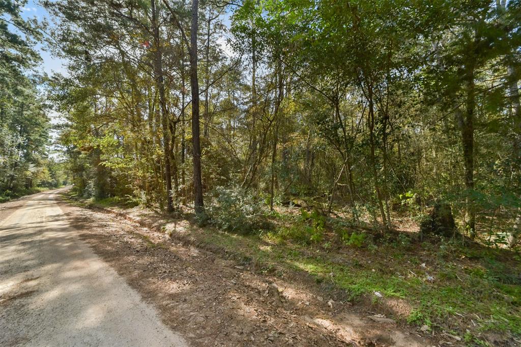 Bob Wahle Lane, Coldspring, Texas image 5