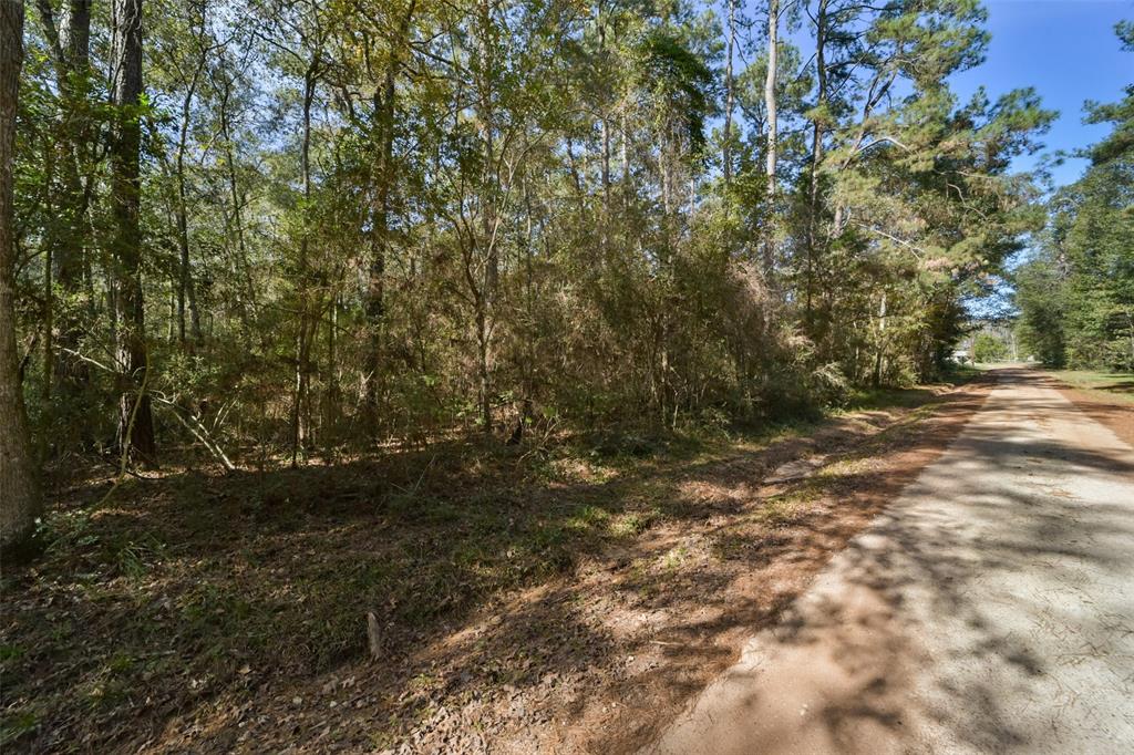 Bob Wahle Lane, Coldspring, Texas image 3