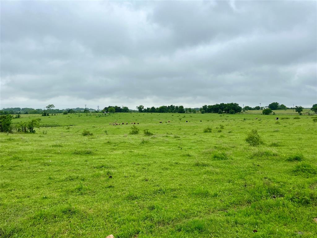 TBD Hwy 159, La Grange, Texas image 6