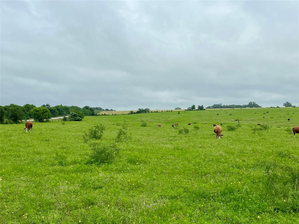 TBD Hwy 159, La Grange, Texas image 4