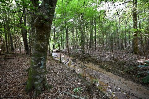 Vacant Land For Sale - TBD Co Road 2150<br/> Woodville, TX 75979