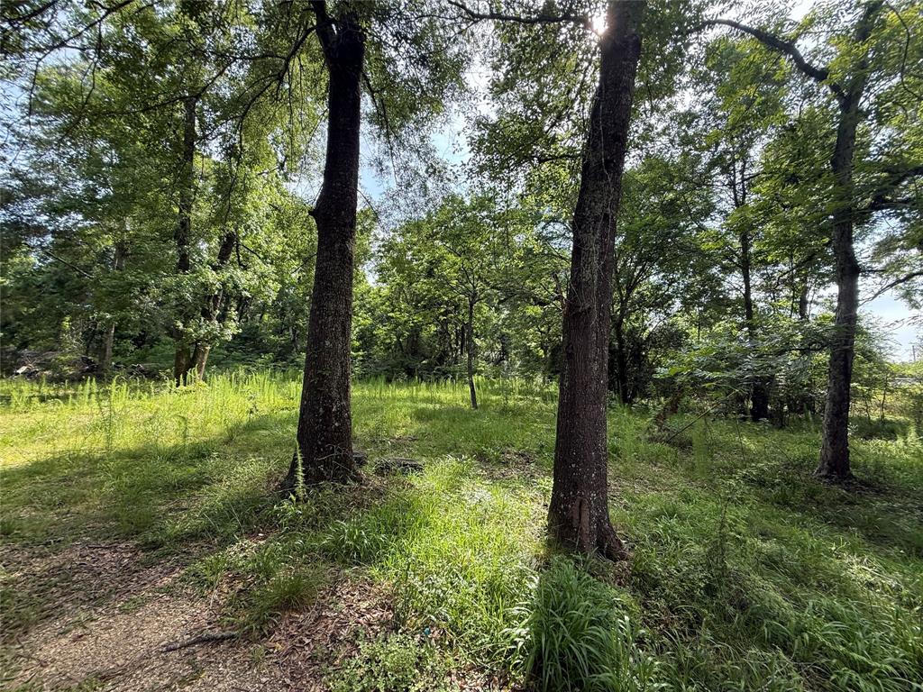 4668 Spillers Road, Lumberton, Texas image 1
