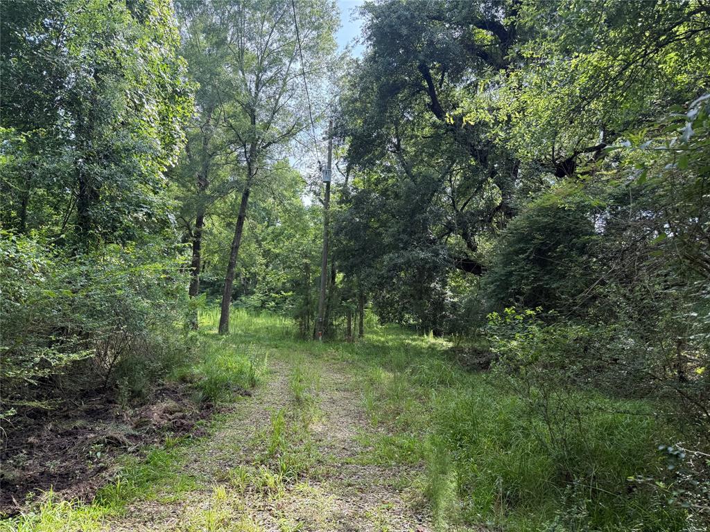 4668 Spillers Road, Lumberton, Texas image 4