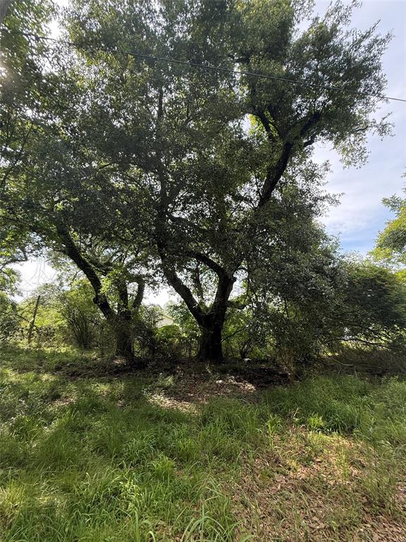 4668 Spillers Road, Lumberton, Texas image 2