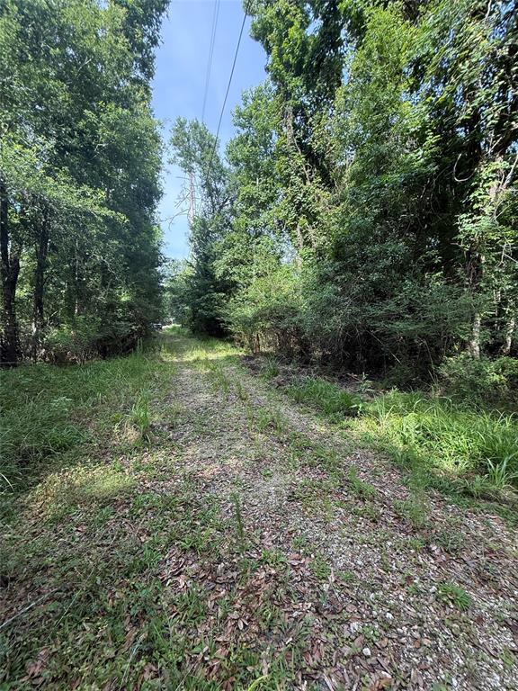 4668 Spillers Road, Lumberton, Texas image 3